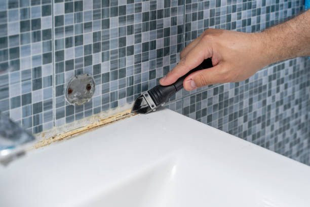 Best Mold Damage Repair  in South El Monte, CA