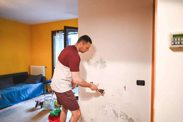 Best Mold Cleaning Services  in South El Monte, CA